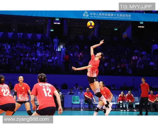 深圳排球队在排球比赛中创下新高经验排名再创新纪录